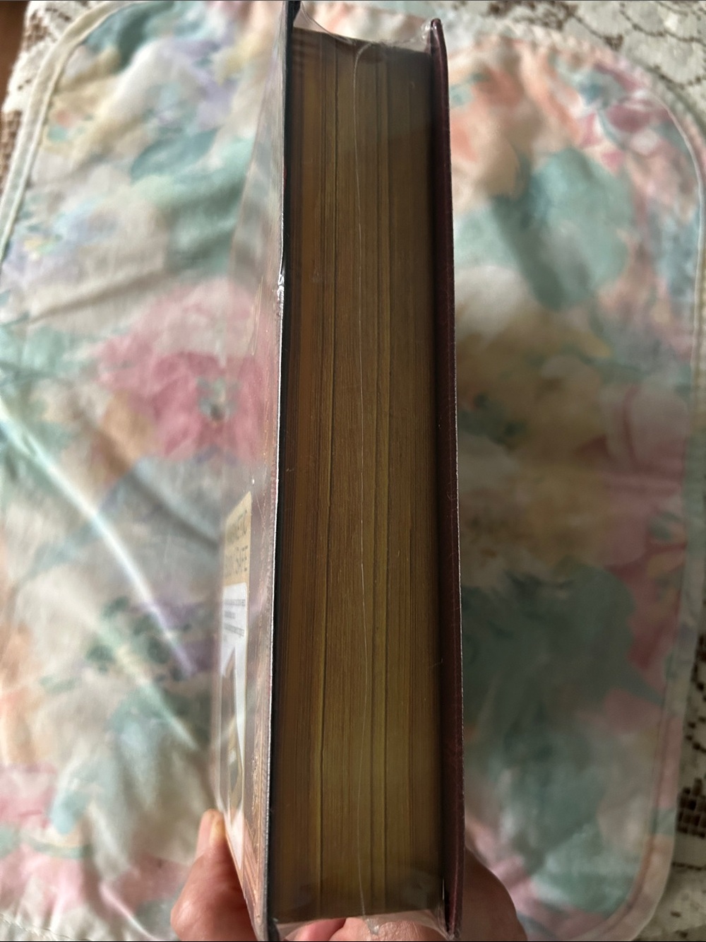 Dictionary Magnetic Book Safe - Brown - Picture 4 of 4